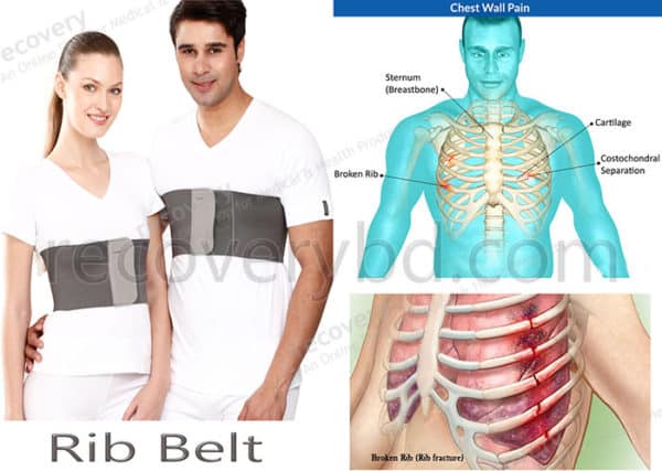 Rib belt