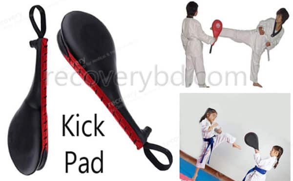 Taekwondo Kick Pad