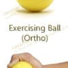 Exercising Ball