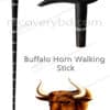 buffalo horn walking stick