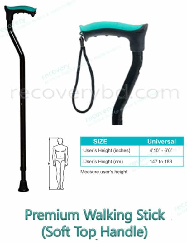 walking stick