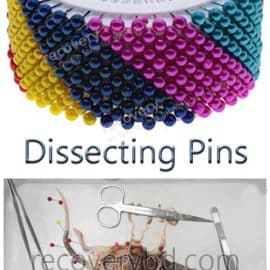 Dissecting Pins; Berry Pins; Pearl Head Pins