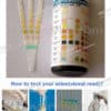 Multiple Urine Test Strips